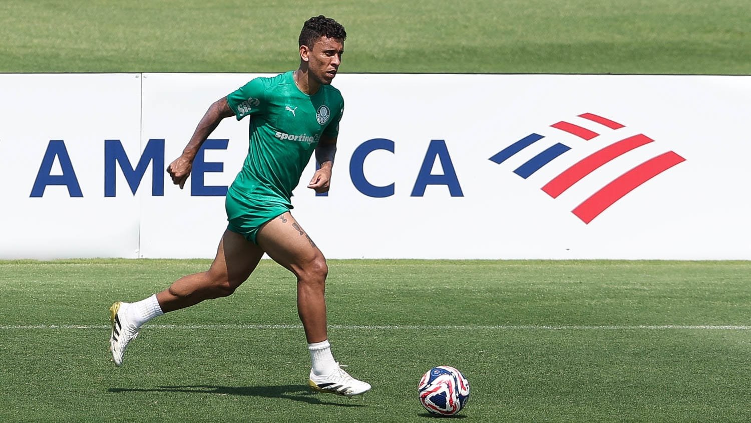 Marcos Rocha. Foto: Cesar Greco/Palmeiras 
