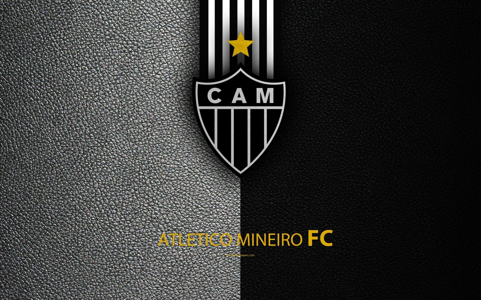 Wallpaper Atletico MG  Clube atlético mineiro, Atlético, Simbolo do atletico  mineiro