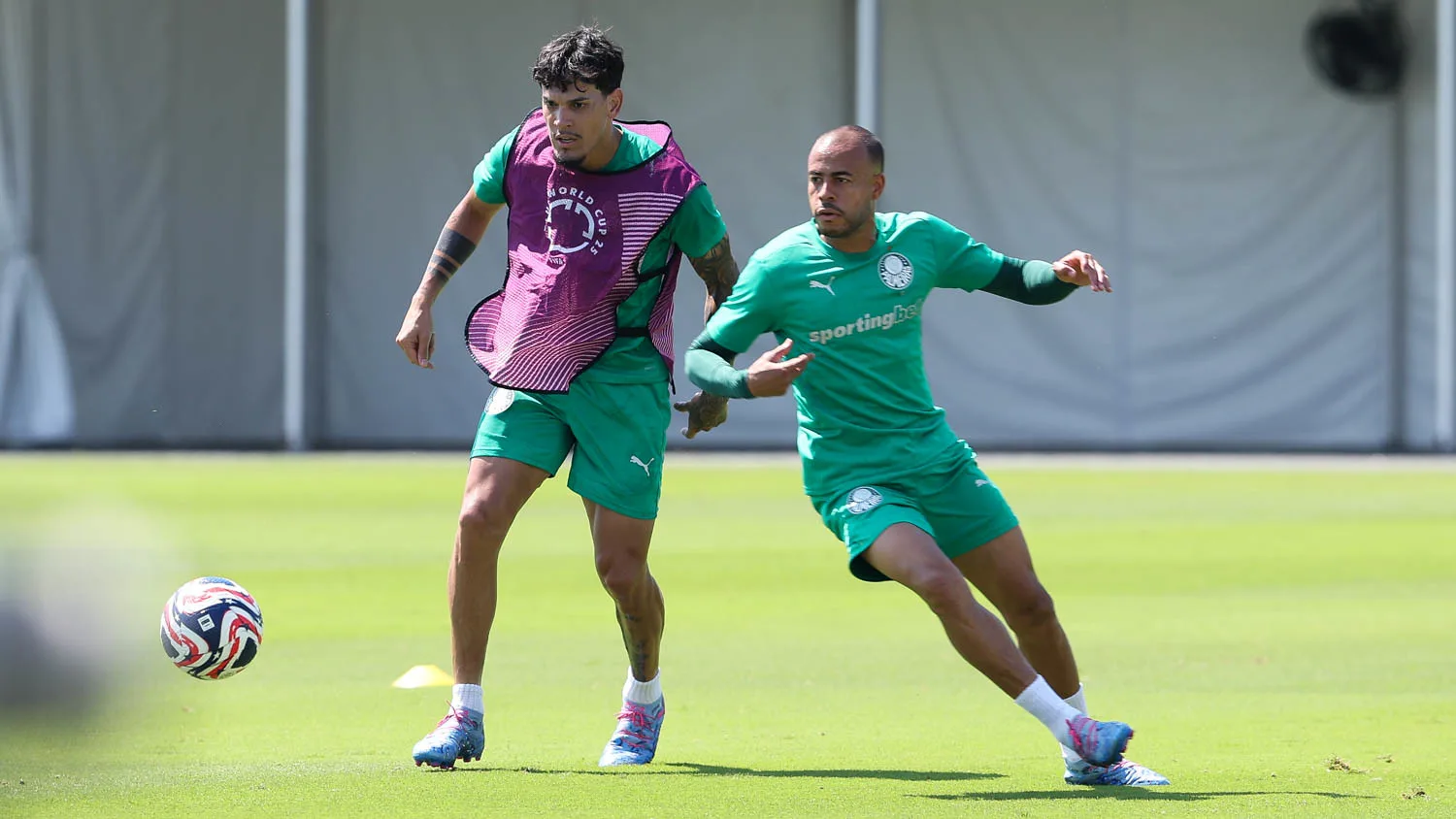 Mayke. Foto: Cesar Greco/Palmeiras