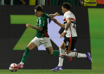 Foto: Cesar Greco/Palmeiras