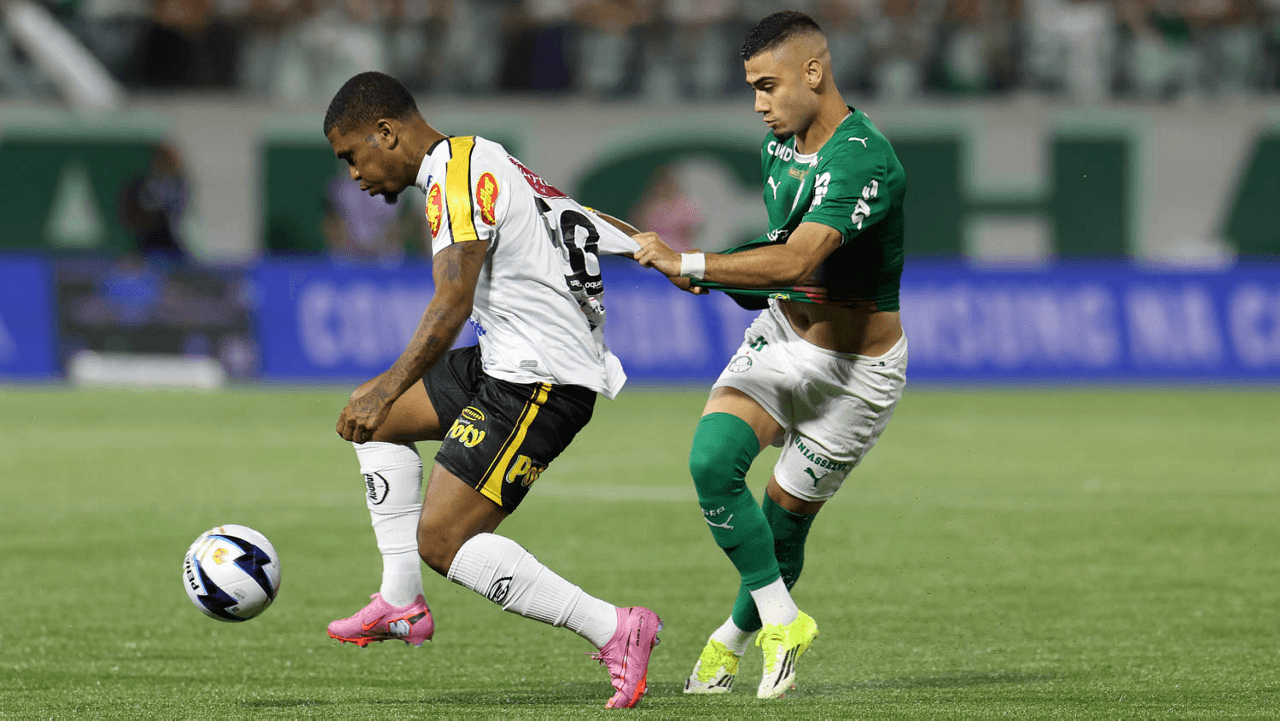 Foto: Cesar Greco/Palmeiras