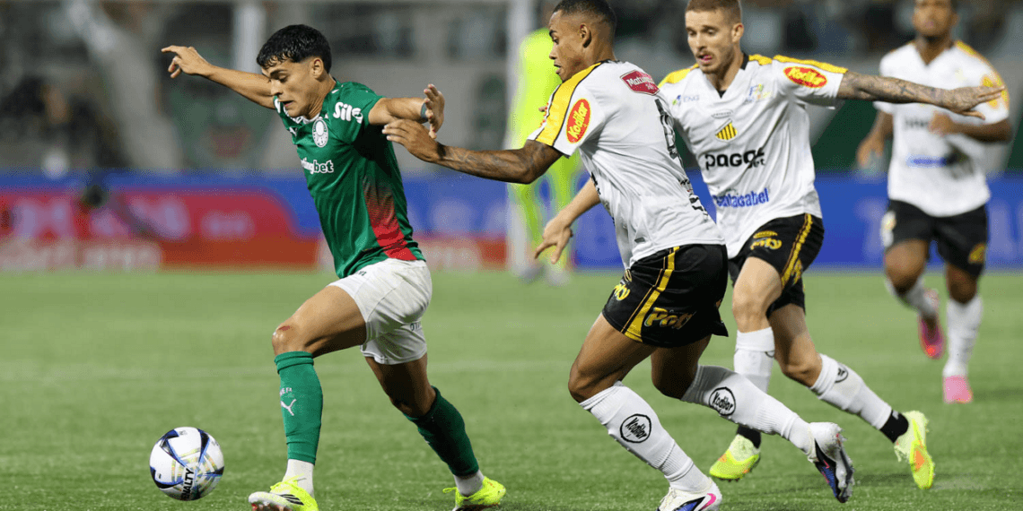 Foto: Cesar Greco/Palmeiras