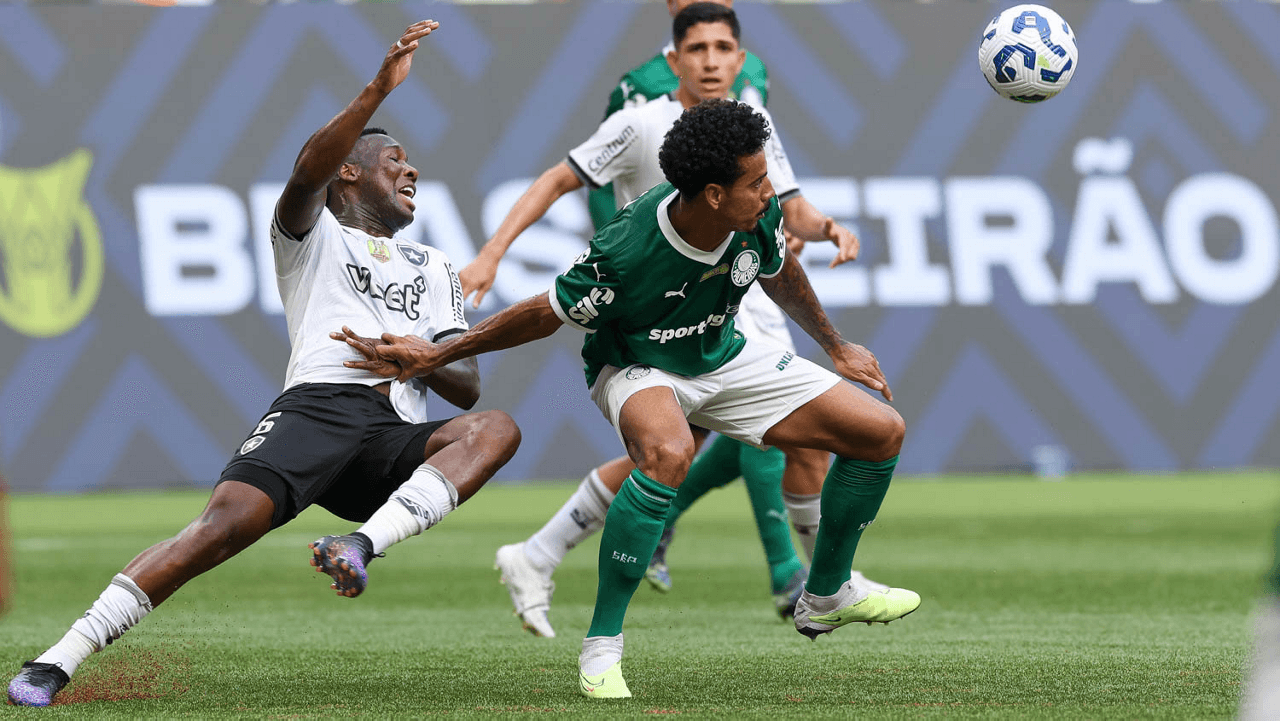 Foto: Cesar Greco/Palmeiras - Palmeiras x Botafogo 