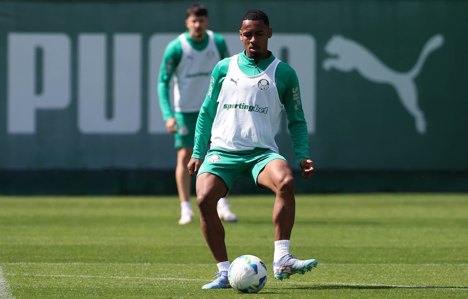 Foto: Cesar Greco/Palmeiras 