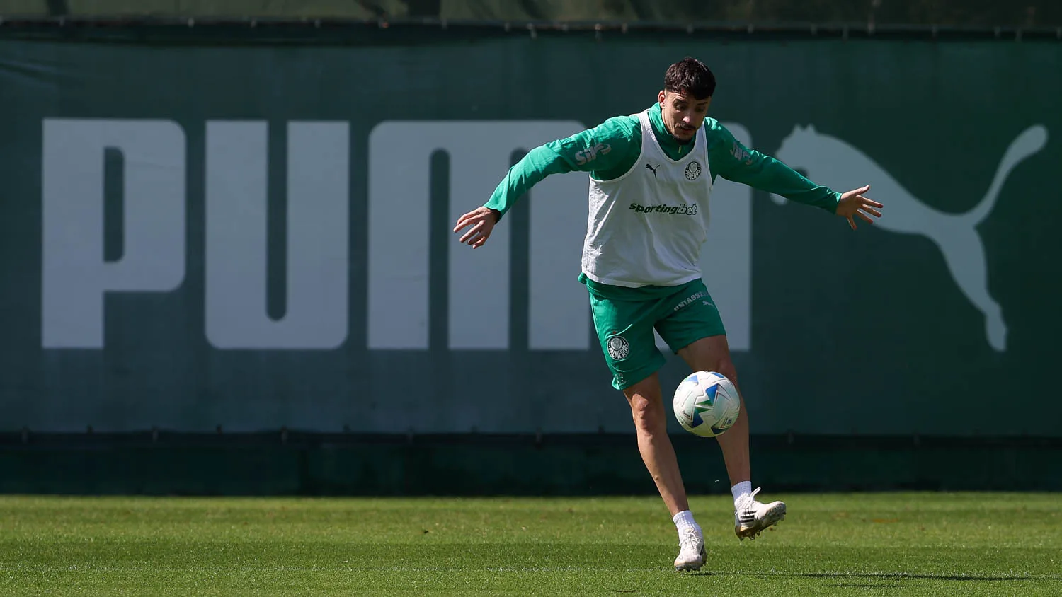 Piquerez, lateral do Palmeiras. Foto: Cesar Greco/Palmeiras