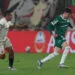 Piquerez, lateral do Palmeiras. Foto: Cesar Greco/Palmeiras