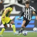 Foto: Vitor Silva/Botafogo - Nesta quarta-feira, Botafogo x Mirassol se enfrentam pelo Brasileirão.