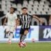 Foto: Arthur Barreto/Botafogo