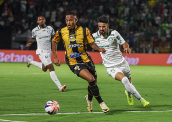Palmeiras x Novorizontino. Foto: Cesar Greco/Palmeiras