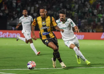 Palmeiras x Novorizontino. Foto: Cesar Greco/Palmeiras