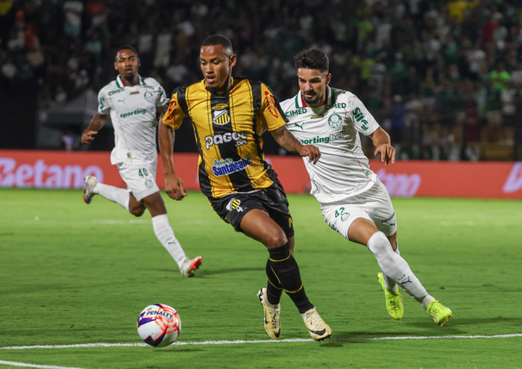 Palmeiras x Novorizontino. Foto: Cesar Greco/Palmeiras