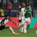 Foto: Cesar Greco/Palmeiras