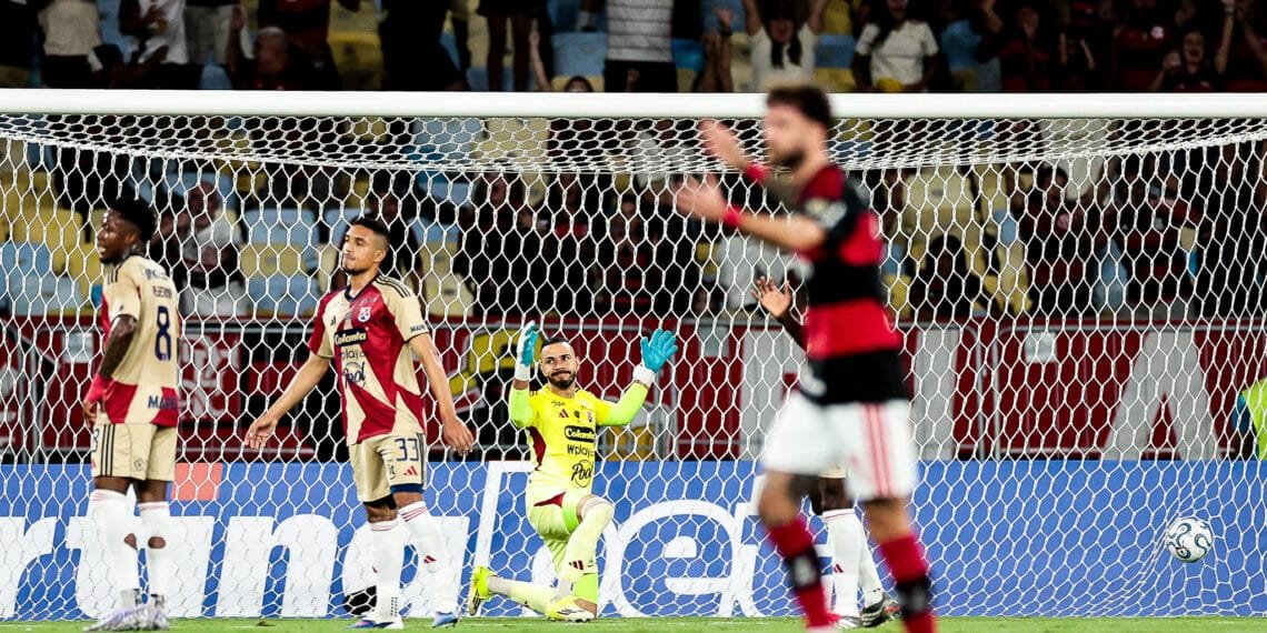 Fotos: Gilvan de Souza/Flamengo